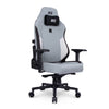 Cadeira Gamer Nero Elite Ashen DT3 Sports Cinza 13541-4