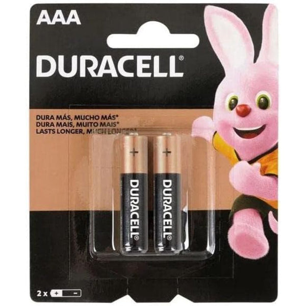 Pilha Alcalina Duracell AAA com 2 Unidades