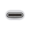 Adaptador Apple USB-C para USB MJ1M2AM/A