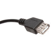 Cabo Extensor USB 2.0 A M X A F 3,0 Mts Niquelado MD9