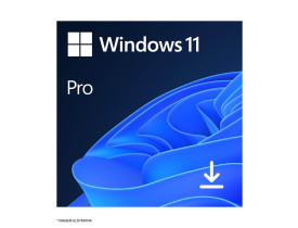 software-windows-11-pro-online-dwnld-c-suporte-fqc-10572