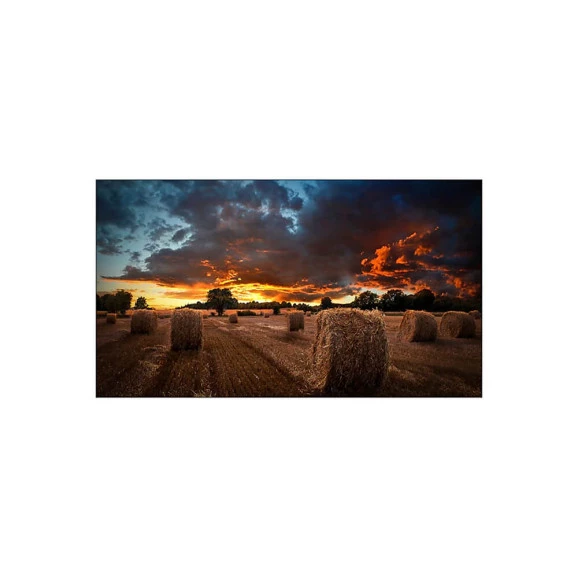 Monitor 46" Samsung LED LFD VM46T Videowall