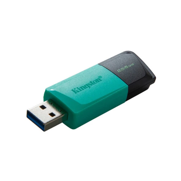 PEN DRIVE 256GB KINGSTON USB 3.2 DATATRAVELER EXODIA - DTXM/256G 
