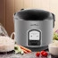 Panela de arroz elétrica Britânia BPA 10PI 10 xícaras 700W 127V