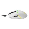 MOUSE FORCE ONE SIRIUS 10.000 DPI RGB - FR.MO.SR.01